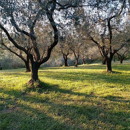 Residence Oliveto Mare Carso Sistiana Εξωτερικό φωτογραφία