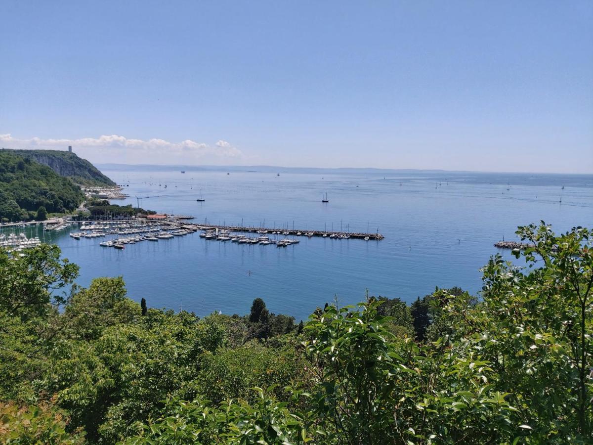 Residence Oliveto Mare Carso Sistiana Εξωτερικό φωτογραφία
