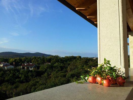 Residence Oliveto Mare Carso Sistiana Εξωτερικό φωτογραφία