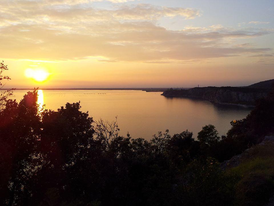 Residence Oliveto Mare Carso Sistiana Εξωτερικό φωτογραφία